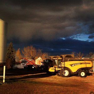 Meet your Posher, Shelley